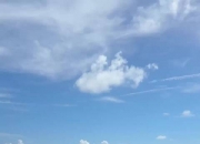 江南体育网站-河床球迷现场助威，球队斗志昂扬的简单介绍
