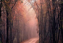 球队凭借默契配合，一路领先