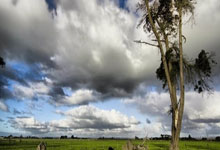 赛场上演连环进球，东南亚喜迎晋级