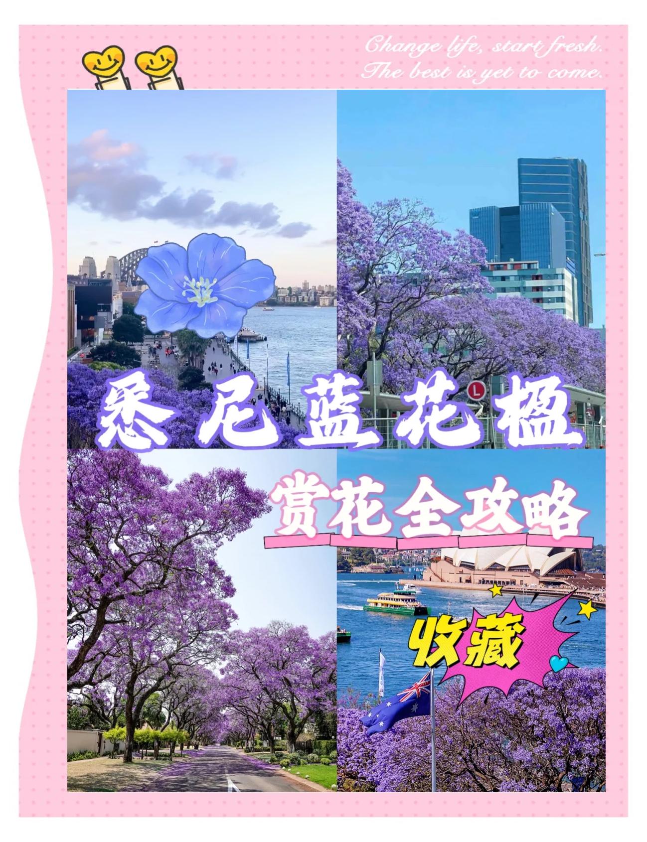 包含澳大利亚球队全面开花：悉尼风光无限的词条